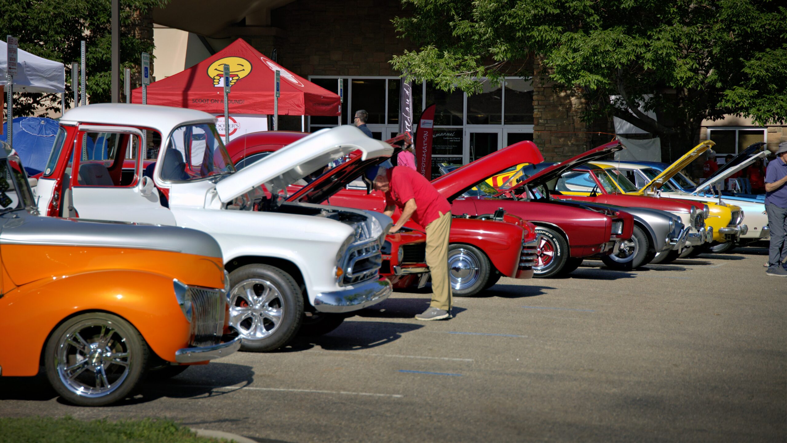 A row of beauties!